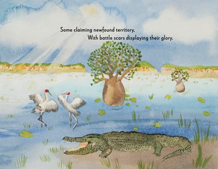 Only in the Kimberley