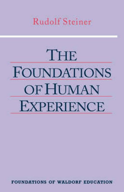 The Foundations of Human Experience