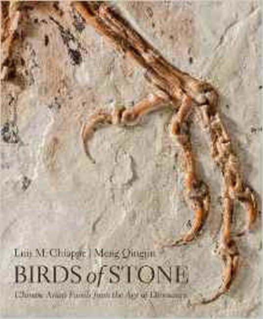 Birds of Stone