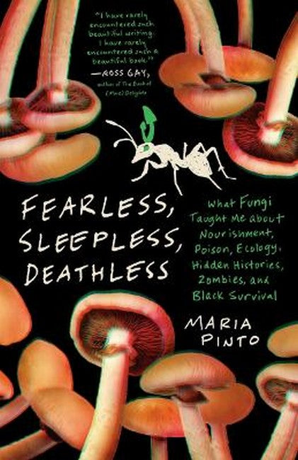 Fearless, Sleepless, Deathless