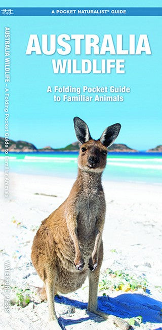 Australian Wildlife