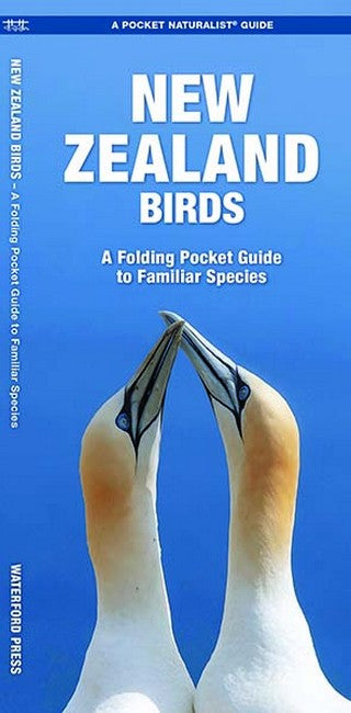 New Zealand Birds