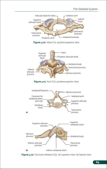 The Pocket Atlas of Anatomy and Physiology