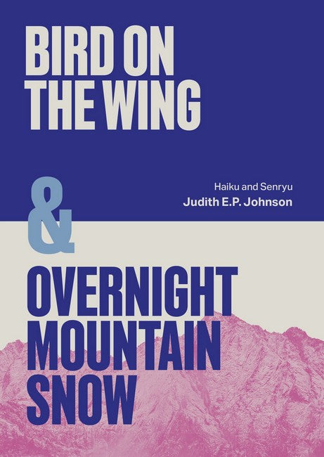 Birds on the Wing and Overnight Mountain Snow