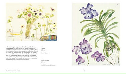 The Art of Elizabeth Blackadder