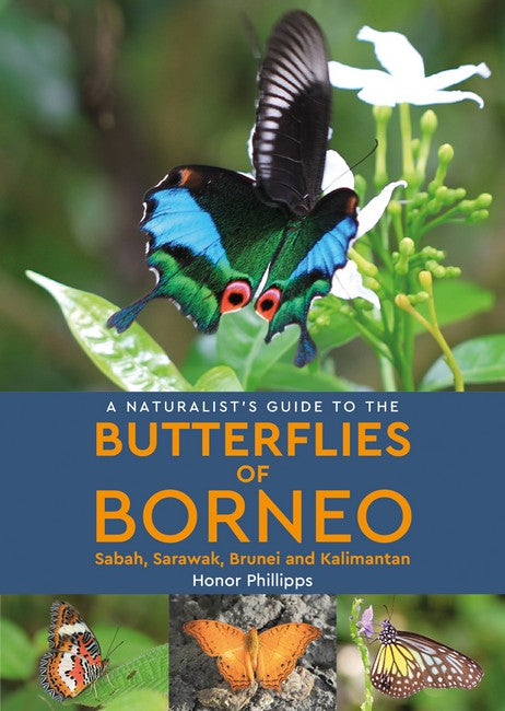 A Naturalist's Guide to the Butterflies of Borneo