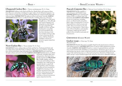 A Naturalist's Guide to the Insects of Australia 2/e