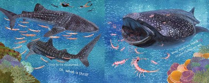 The NG in Ningaloo (PB)