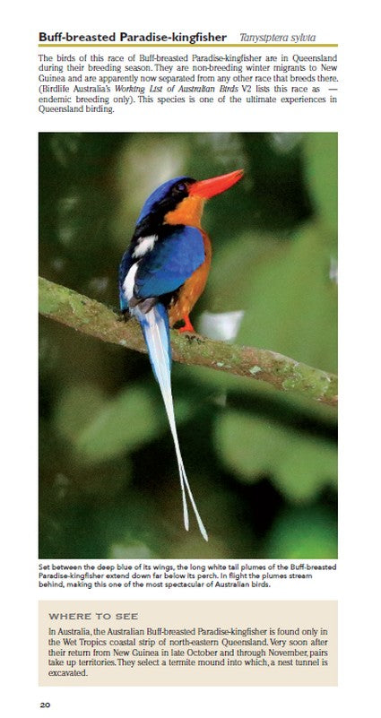 Pocket Field Guide to the Birdlife of Queensland 2/e