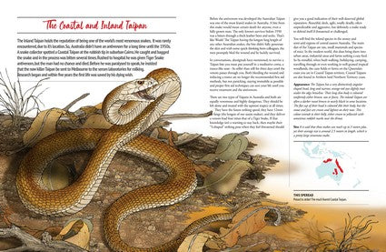 Australia's Dangerous Bush Creatures
