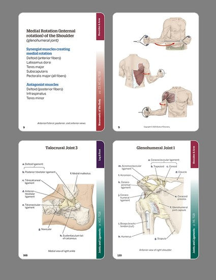 Trail Guide to the Body Flashcards Volume 1