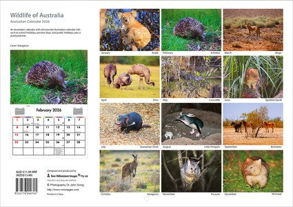 2026 Wildlife of Australia Wall Calendar