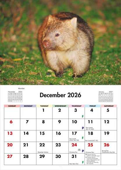 2026 Wildlife of Australia Wall Calendar