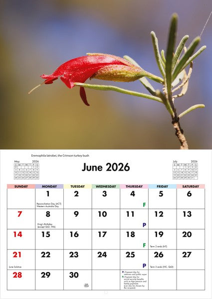 2026 Flora of Australia Wall Calendar