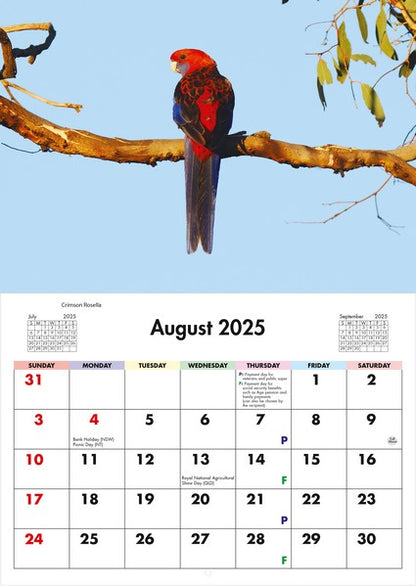 2026 Australian Birds Wall Calendar