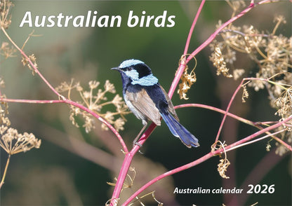 2026 Australian Birds Wall Calendar