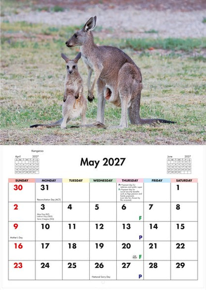 2027 Wildlife of Australia Wall Calendar