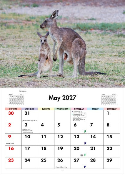 2027 Wildlife of Australia Wall Calendar