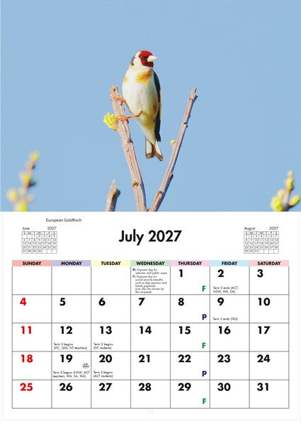 2027 Australian Birds Wall Calendar
