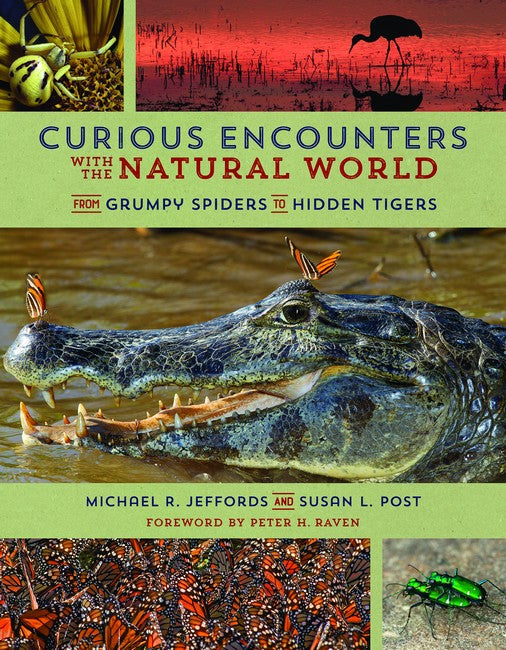 Curious Encounters with the Natural World