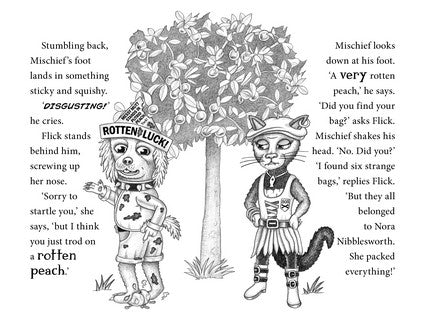 SOS: Muddy Mystery (Bk6)