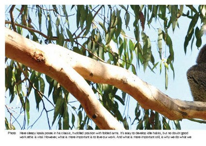 Iconic Animals of Australia