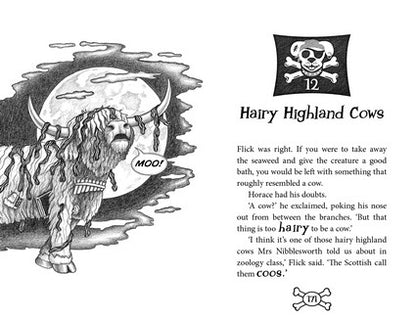 Scallywags and the Hungry Hairy Sea Monster: Bk 3