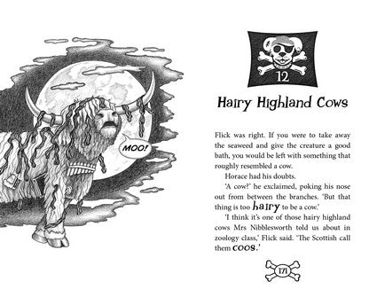 Scallywags and the Hungry Hairy Sea Monster: Bk 3
