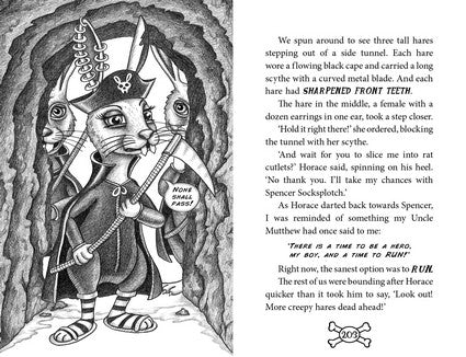 Scallywags and the Stormy Secret