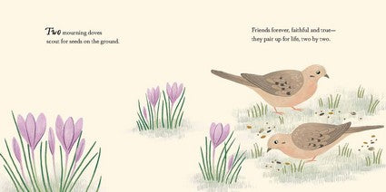 Consider the Birds