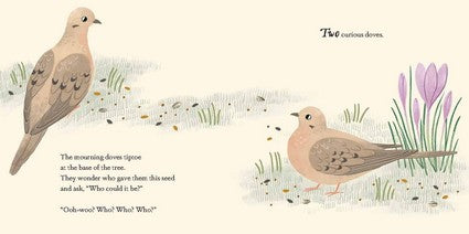 Consider the Birds