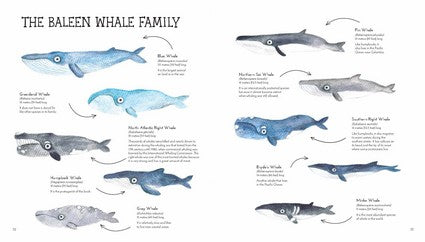 Journey of the Humpbacks