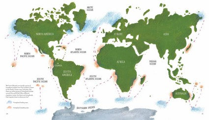 Journey of the Humpbacks
