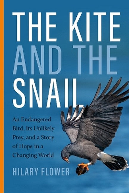 The Kite and the Snail