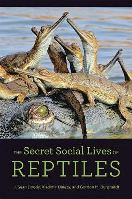 The Secret Social Lives of Reptiles