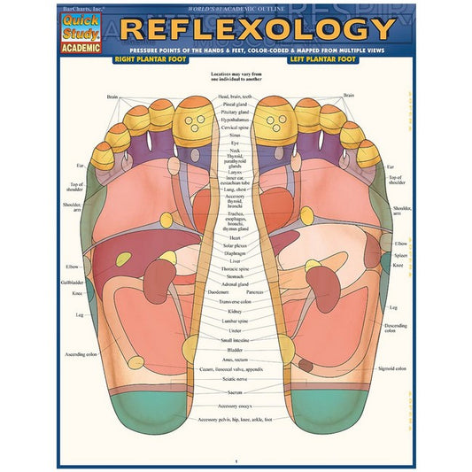 Reflexology