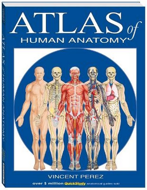 Atlas of the Human Anatomy
