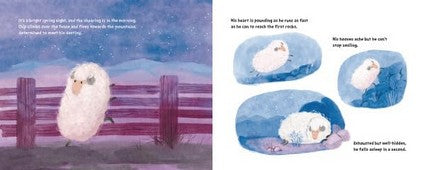 Sheep Shape