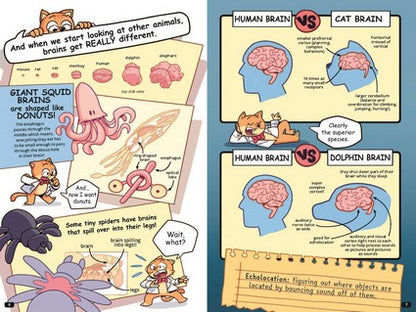 Professor Thomas Cat's Guide to Understanding the Human Brain