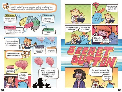 Professor Thomas Cat's Guide to Understanding the Human Brain