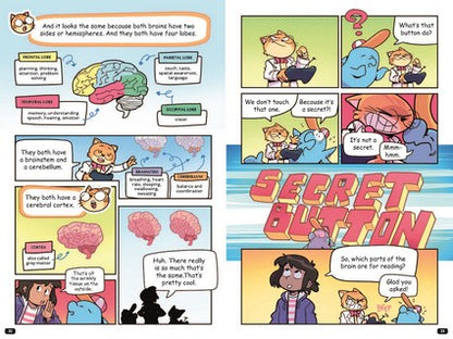 Professor Thomas Cat's Guide to Understanding the Human Brain