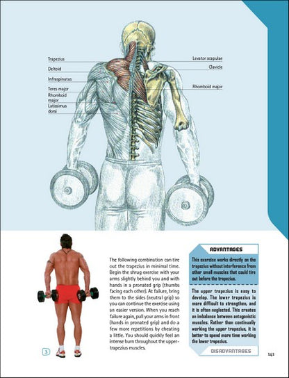 The Strength Training Anatomy Workout