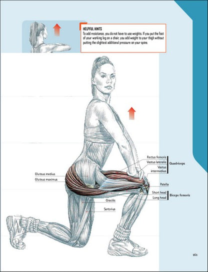 The Strength Training Anatomy Workout