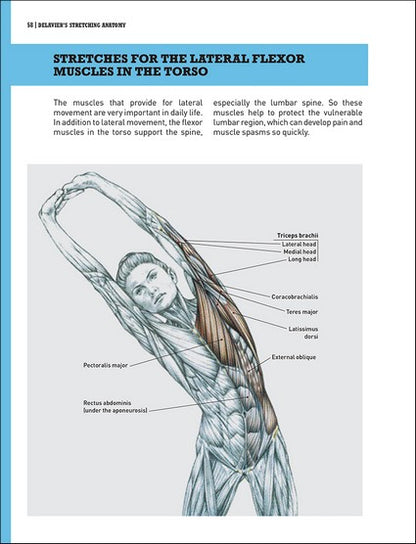 Delavier's Stretching Anatomy