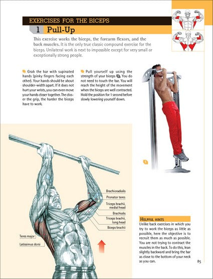 Delavier's Anatomy for Bigger, Stronger Arms