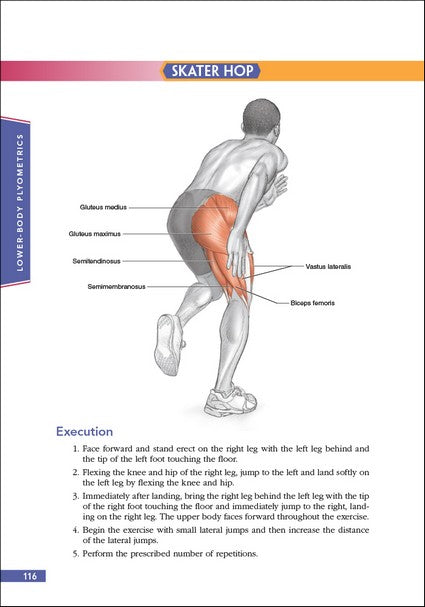 Basketball Anatomy