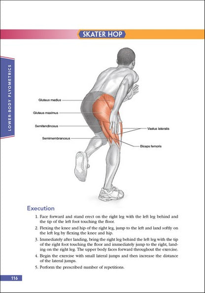 Basketball Anatomy