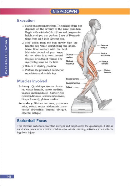 Basketball Anatomy