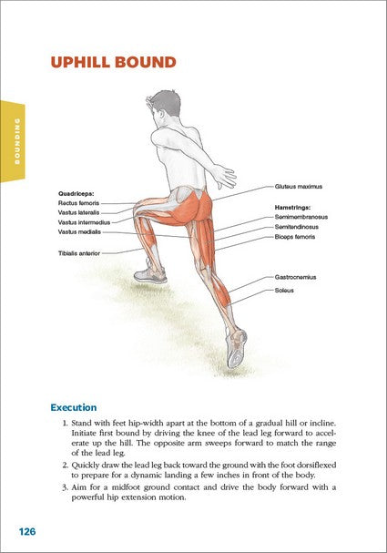 Plyometric Anatomy