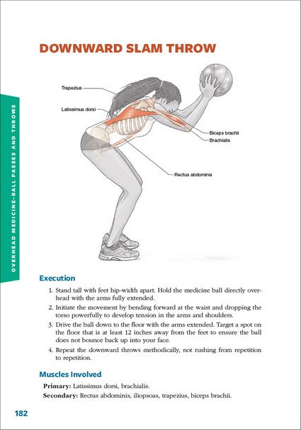 Plyometric Anatomy